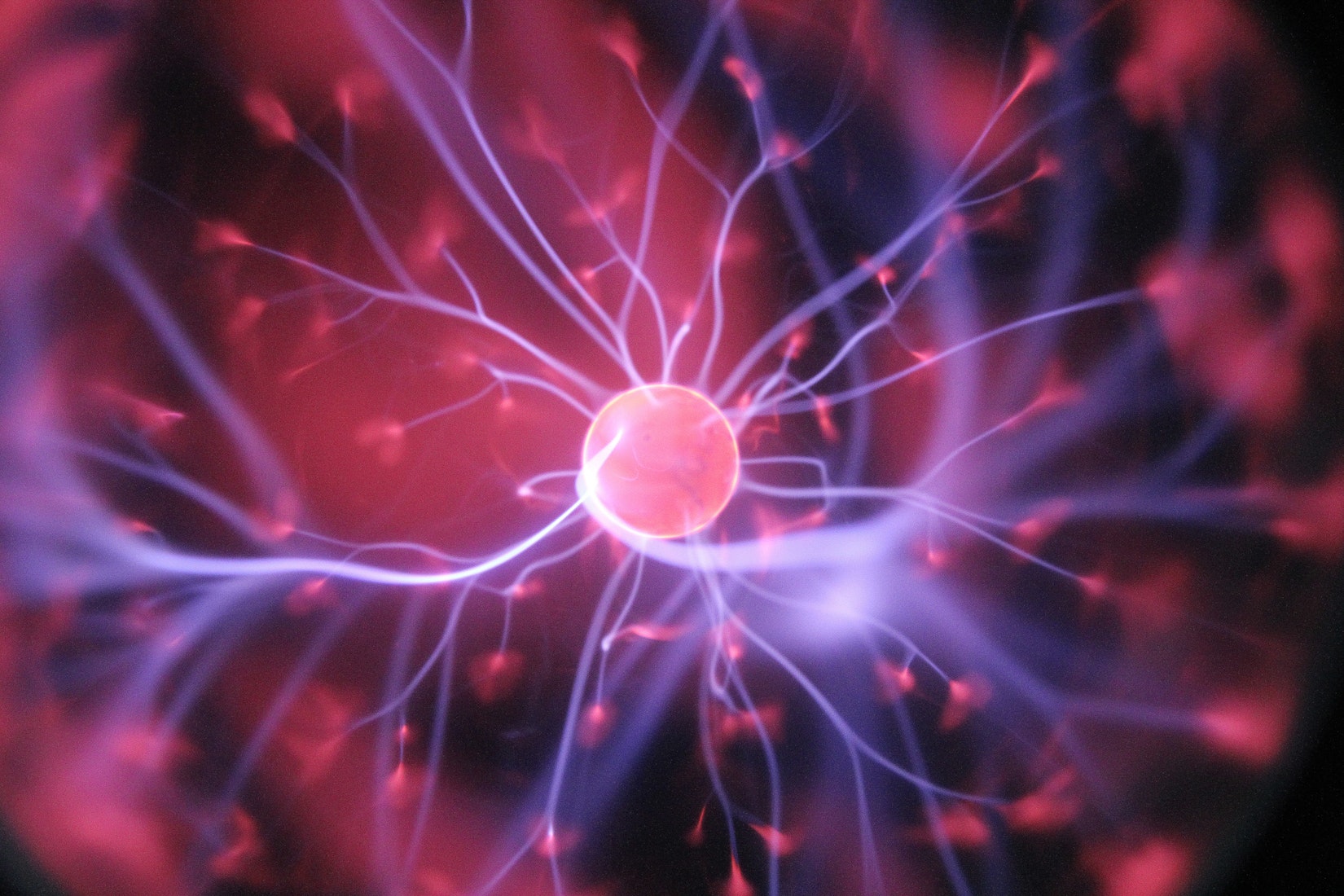 Can Autologous Cells Restore Other Areas of the Body?