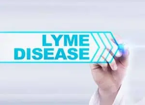 lyme_disease_procedure lyme disease procedure