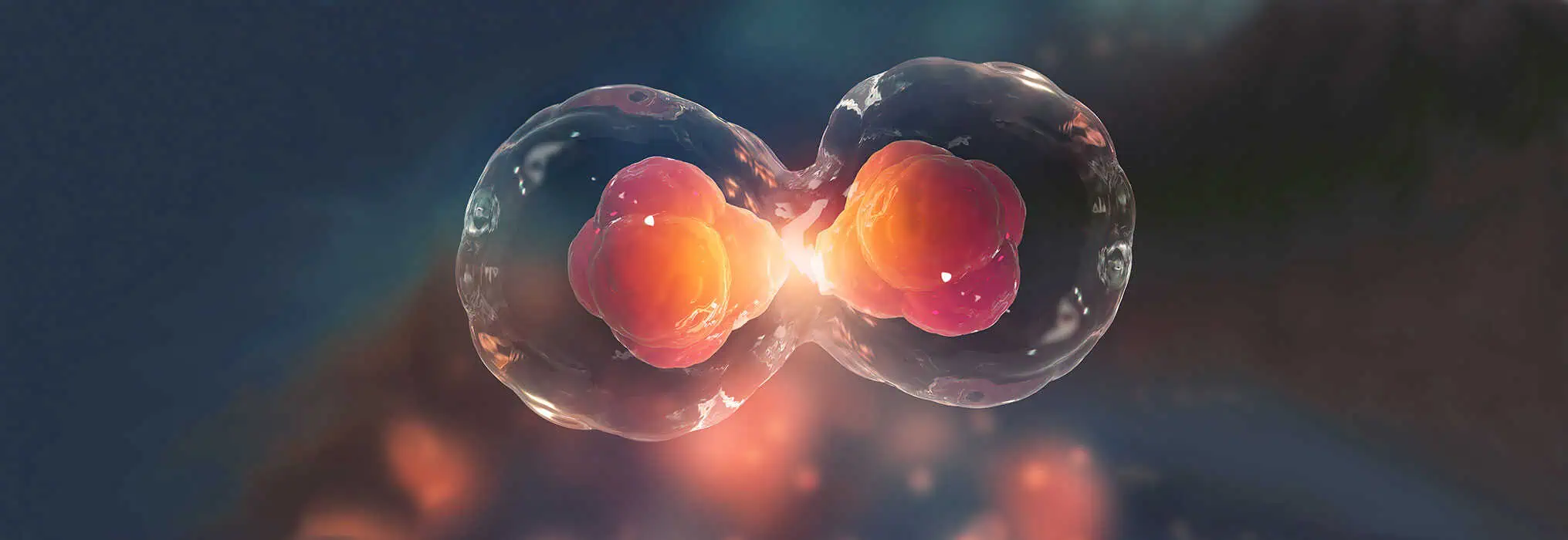 What are Regenerative Cells? | Regenerative Medicine 101