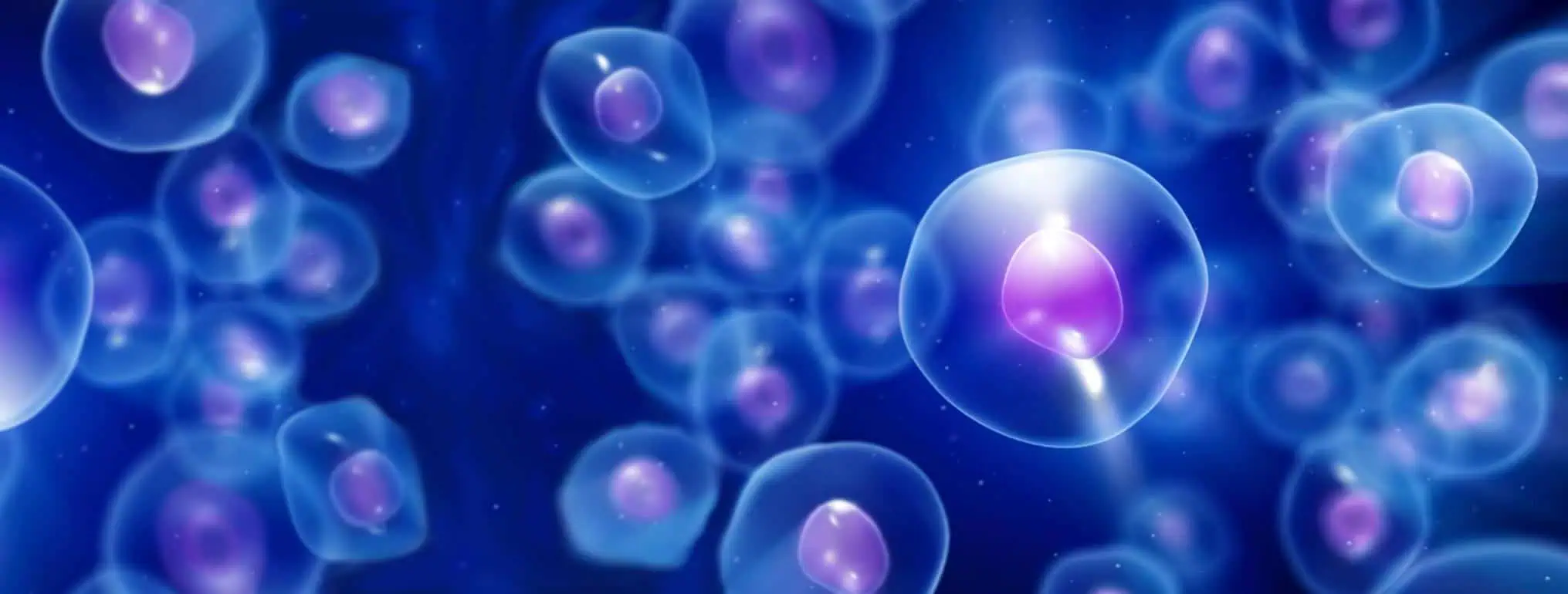 What is Cell Therapy?