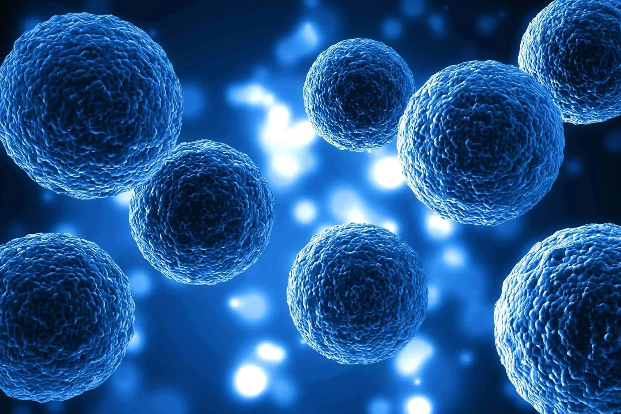 Do Stem Cell Patches Work or Are They Just Hype?