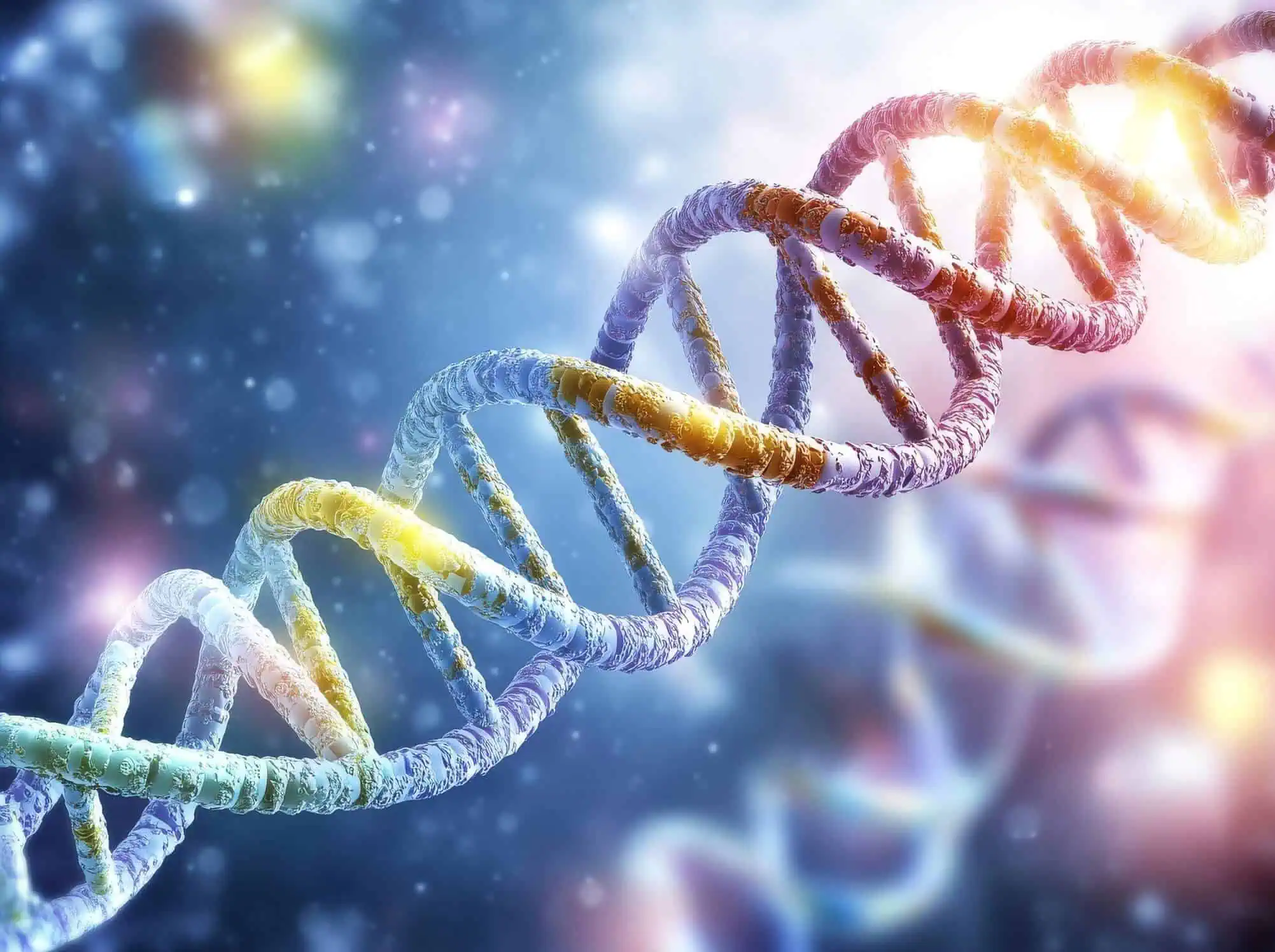 How Stem Cell Therapy Differs From the Peptides People Are Taking