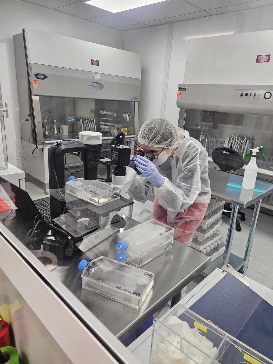 A person in protective lab clothing examines a sample through a microscope in a sterile laboratory with various scientific equipment and supplies. A person in protective lab clothing examines a sample through a microscope in a sterile laboratory with various scientific equipment and supplies.