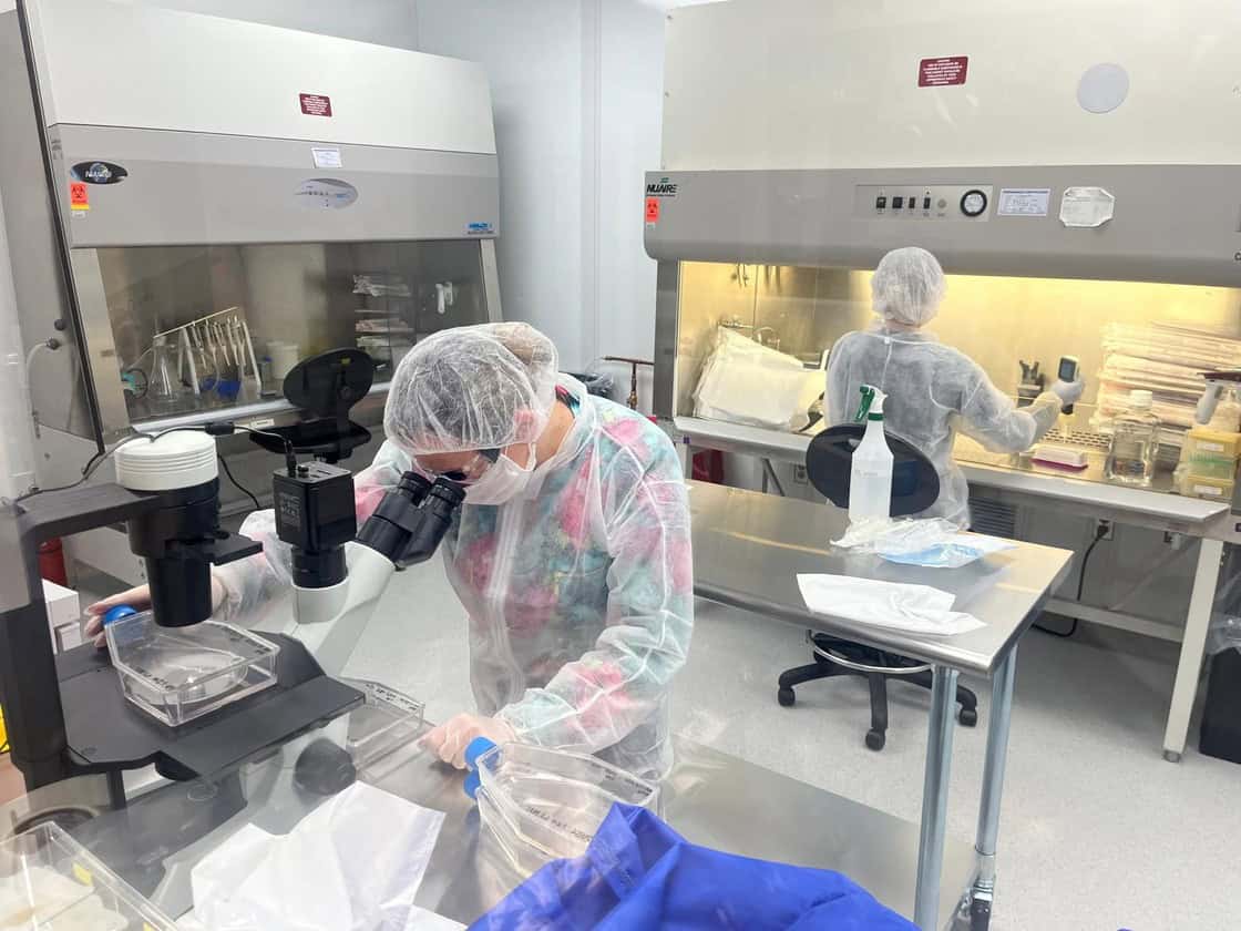 Two lab workers wearing protective gear conduct experiments in a laboratory, one using a microscope and the other working under a fume hood. Two lab workers wearing protective gear conduct experiments in a laboratory, one using a microscope and the other working under a fume hood.