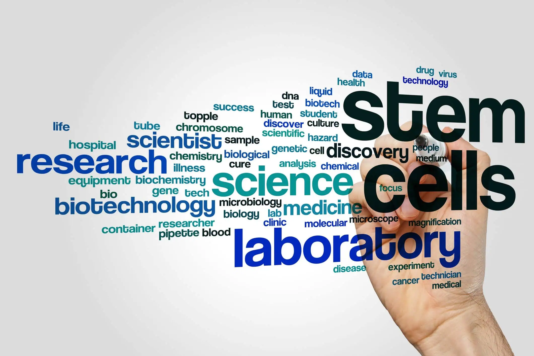 Are Stem Cells The Future Of Healing