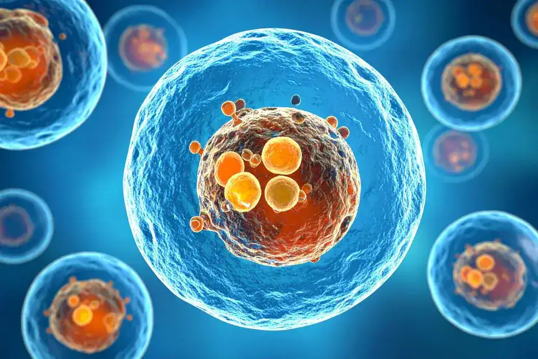 What-Is-Stem-Cell-Therapy What Is Stem Cell Therapy