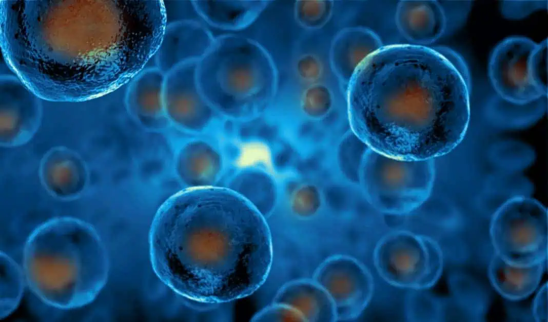 An abstract illustration of dynamic blue cells with glowing orange centers, reminiscent of stem cell therapy, floating in a dark blue environment. An abstract illustration of dynamic blue cells with glowing orange centers, reminiscent of stem cell therapy, floating in a dark blue environment.